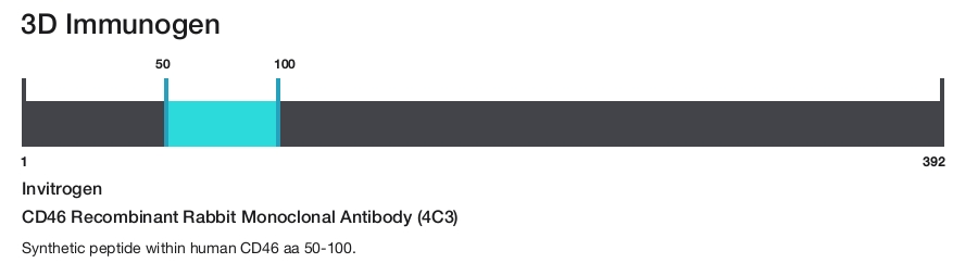 CD46 Recombinant Rabbit Monoclonal Antibody (4C3)