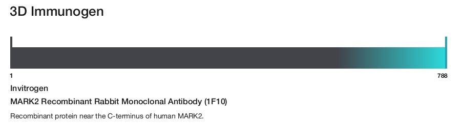 MARK2 Recombinant Rabbit Monoclonal Antibody (1F10)