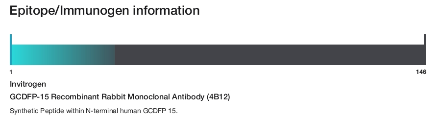 GCDFP-15 Recombinant Rabbit Monoclonal Antibody (4B12)