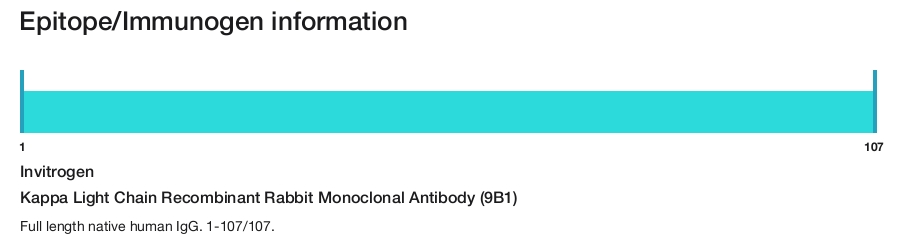 Kappa Light Chain Recombinant Rabbit Monoclonal Antibody (9B1)