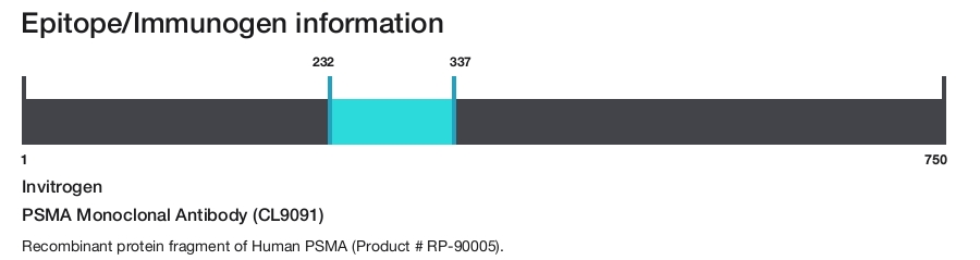 PSMA Monoclonal Antibody (CL9091)
