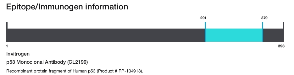 p53 Monoclonal Antibody (CL2199)