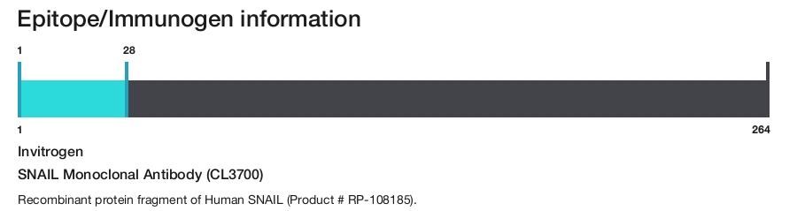 SNAIL Monoclonal Antibody (CL3700)