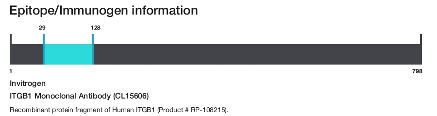 ITGB1 Monoclonal Antibody (CL15606)