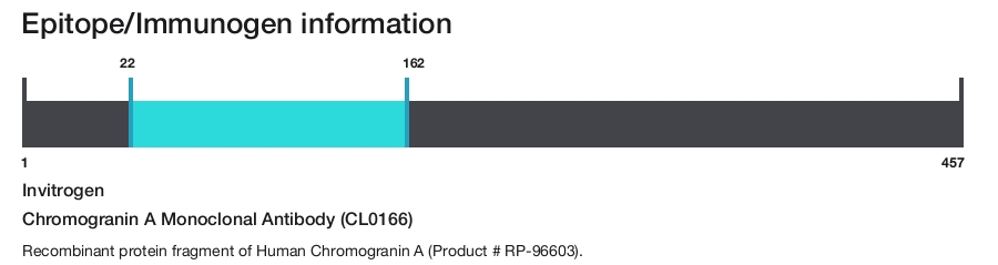 Chromogranin A Monoclonal Antibody (CL0166)