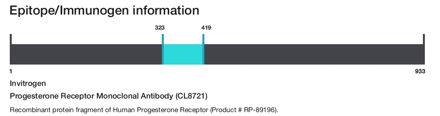 Progesterone Receptor Monoclonal Antibody (CL8721)