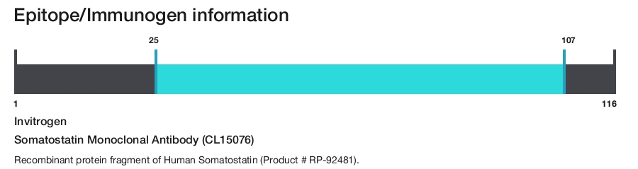 Somatostatin Monoclonal Antibody (CL15076)