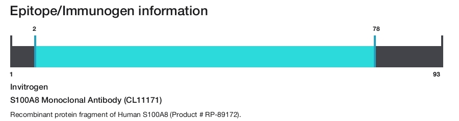 S100A8 Monoclonal Antibody (CL11171)