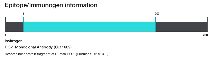 HO-1 Monoclonal Antibody (CL11669)