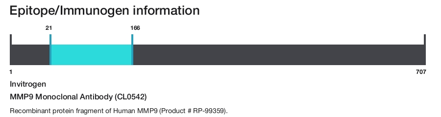 MMP9 Monoclonal Antibody (CL0542)