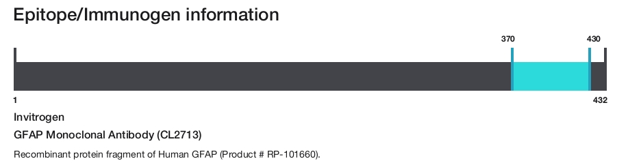 GFAP Monoclonal Antibody (CL2713)