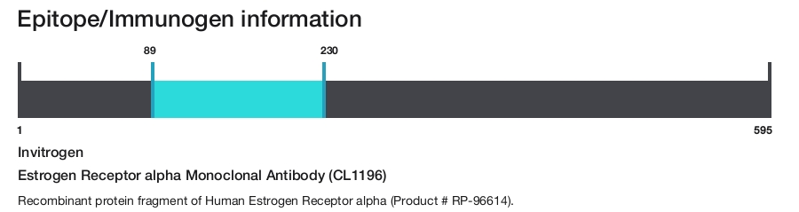 Estrogen Receptor alpha Monoclonal Antibody (CL1196)