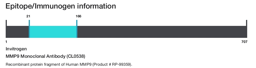 MMP9 Monoclonal Antibody (CL0538)