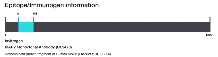 MAP2 Monoclonal Antibody (CL5420)