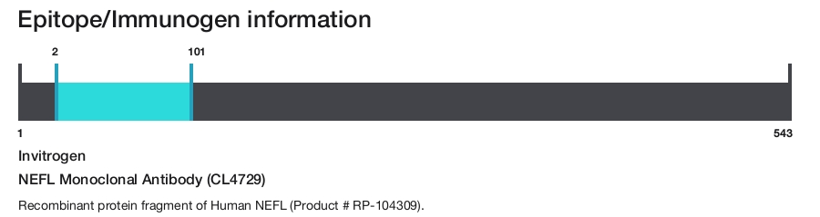 NEFL Monoclonal Antibody (CL4729)