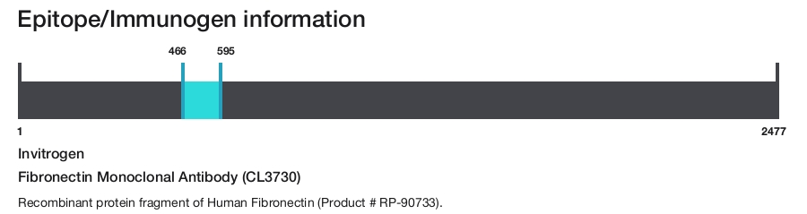 Fibronectin Monoclonal Antibody (CL3730)