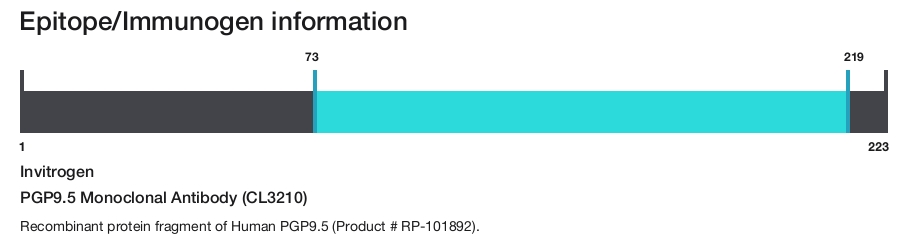 PGP9.5 Monoclonal Antibody (CL3210)