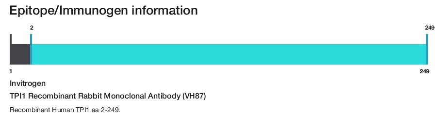 TPI1 Recombinant Rabbit Monoclonal Antibody (VH87)