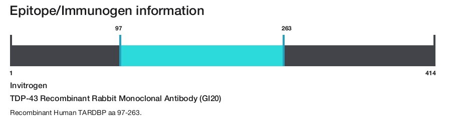 TDP-43 Recombinant Rabbit Monoclonal Antibody (GI20)