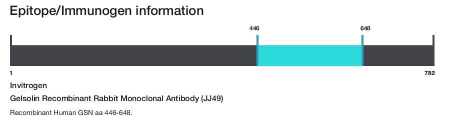 Gelsolin Recombinant Rabbit Monoclonal Antibody (JJ49)