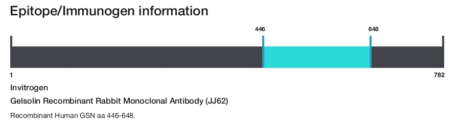 Gelsolin Recombinant Rabbit Monoclonal Antibody (JJ62)