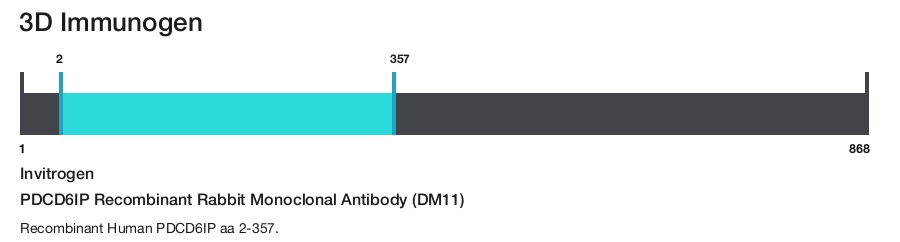 PDCD6IP Recombinant Rabbit Monoclonal Antibody (DM11)
