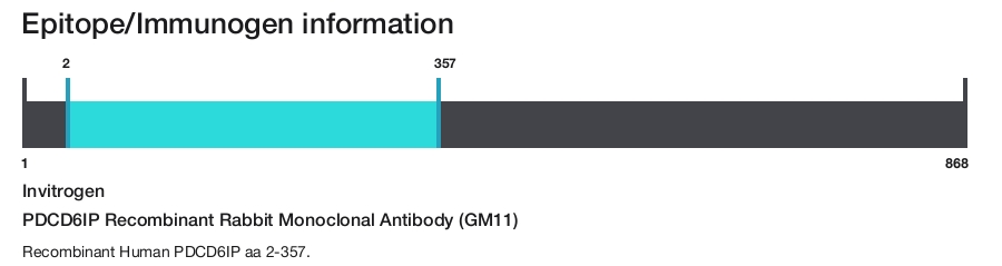 PDCD6IP Recombinant Rabbit Monoclonal Antibody (GM11)
