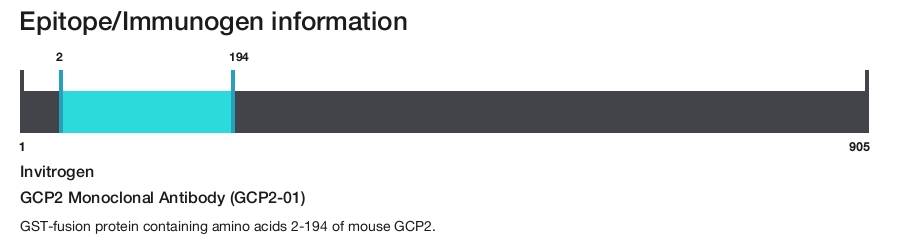 GCP2 Monoclonal Antibody (GCP2-01)
