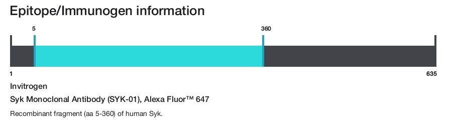 Syk Monoclonal Antibody (SYK-01), Alexa Fluor&trade; 647