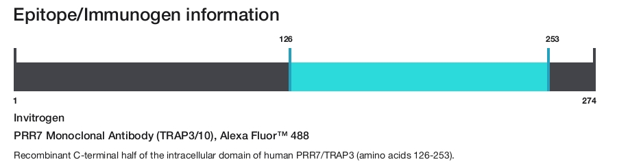 PRR7 Monoclonal Antibody (TRAP3/10), Alexa Fluor&trade; 488