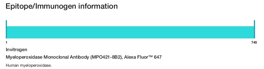 Myeloperoxidase Monoclonal Antibody (MPO421-8B2), Alexa Fluor&trade; 647