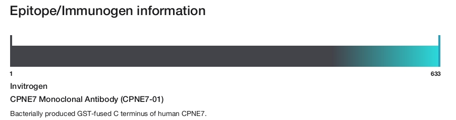 CPNE7 Monoclonal Antibody (CPNE7-01)