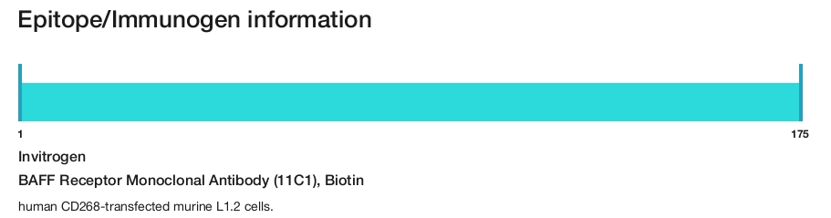 BAFF Receptor Monoclonal Antibody (11C1), Biotin