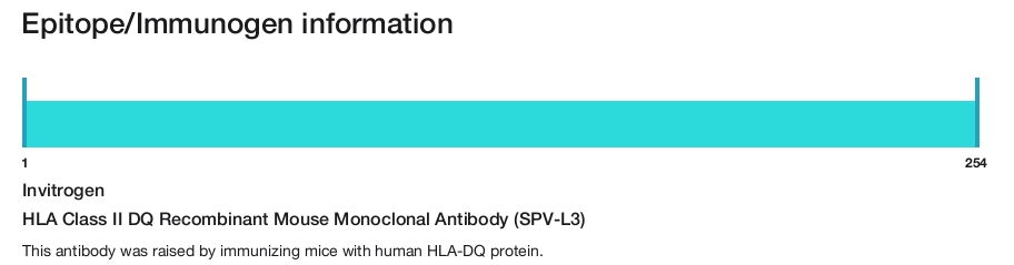 HLA Class II DQ Recombinant Mouse Monoclonal Antibody (SPV-L3)