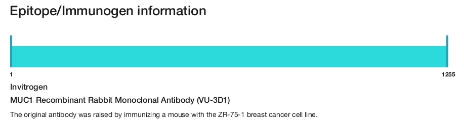 MUC1 Recombinant Rabbit Monoclonal Antibody (VU-3D1)