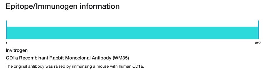 CD1a Recombinant Rabbit Monoclonal Antibody (WM35)