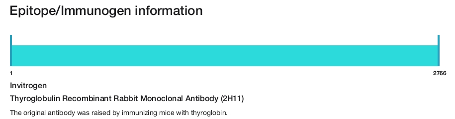 Thyroglobulin Recombinant Rabbit Monoclonal Antibody (2H11)