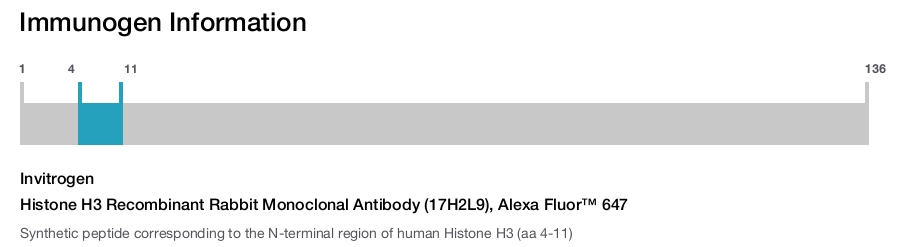 Histone H3 Recombinant Rabbit Monoclonal Antibody (17H2L9), Alexa Fluor™ 647