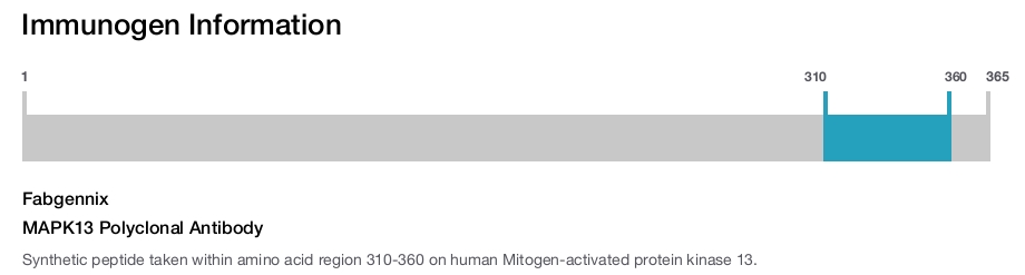 MAPK13 Polyclonal Antibody