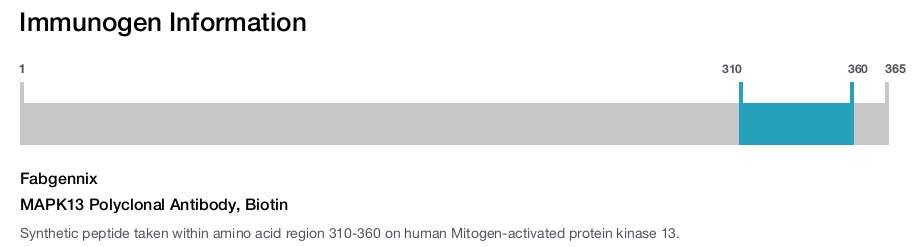 MAPK13 Polyclonal Antibody, Biotin
