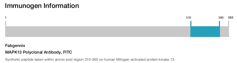 MAPK13 Polyclonal Antibody, FITC