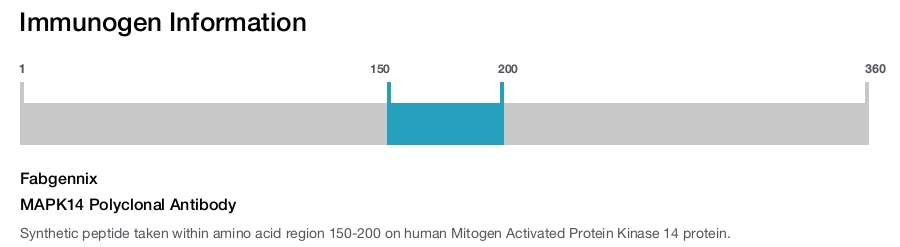 MAPK14 Polyclonal Antibody