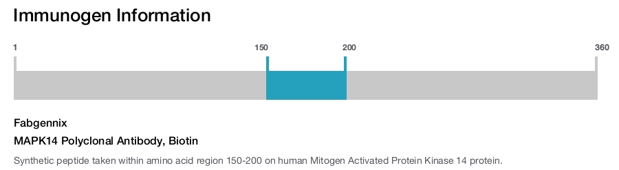 MAPK14 Polyclonal Antibody, Biotin