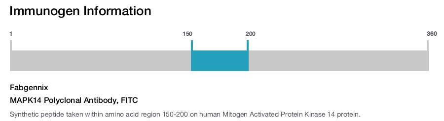 MAPK14 Polyclonal Antibody, FITC