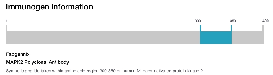 MAPK2 Polyclonal Antibody