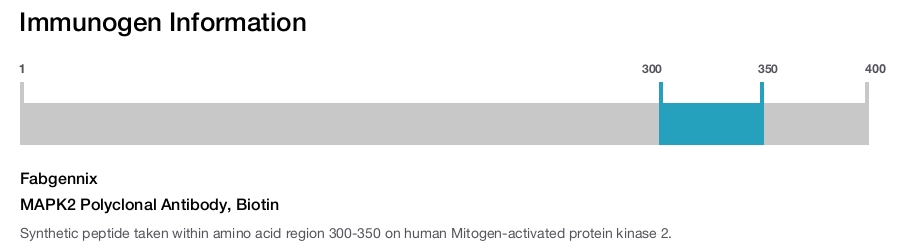 MAPK2 Polyclonal Antibody, Biotin