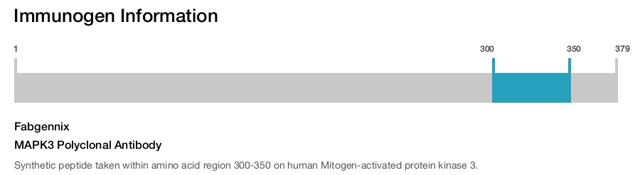 MAPK3 Polyclonal Antibody