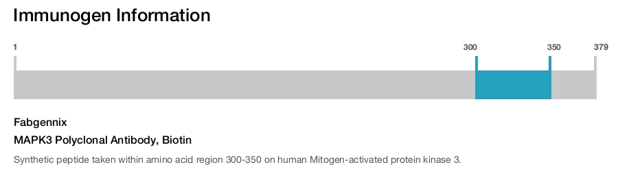 MAPK3 Polyclonal Antibody, Biotin