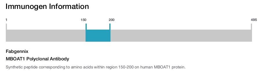 MBOAT1 Polyclonal Antibody