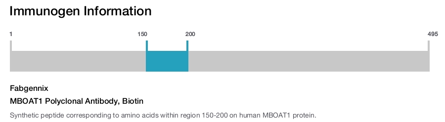 MBOAT1 Polyclonal Antibody, Biotin